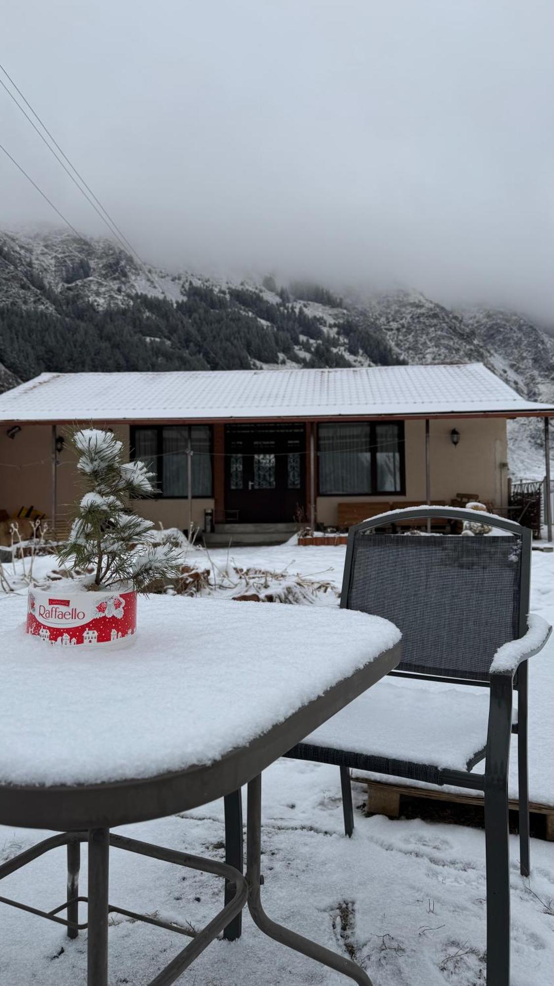 Januka Garden At Sno Villa Kasbegi Buitenkant foto